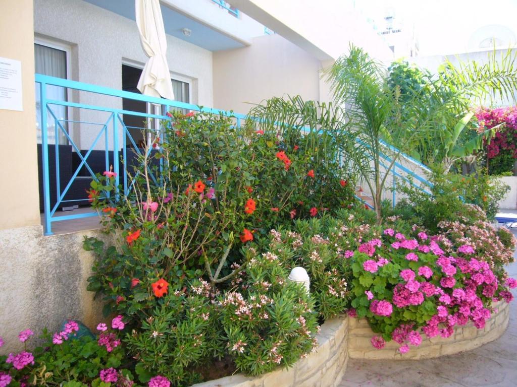 דירות לימסול Blue Oasis Gardens מראה חיצוני תמונה