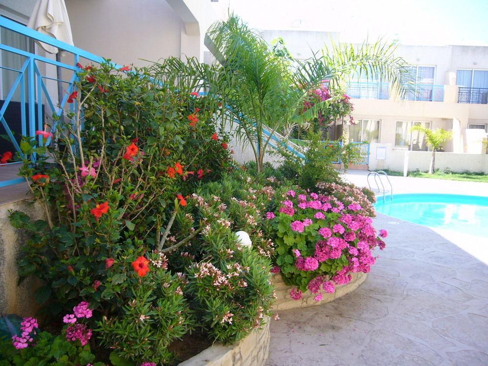 דירות לימסול Blue Oasis Gardens מראה חיצוני תמונה